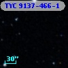TYC 9137-466-1