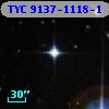TYC 9137-1118-1