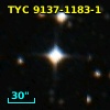 TYC 9137-1183-1