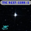 TYC 9137-1188-1