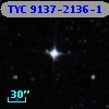 TYC 9137-2136-1