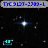 TYC 9137-2709-1