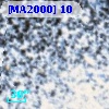 [MA2000] 10