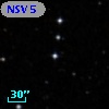 NSV     5