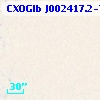CXOGlb J002417.2-720446