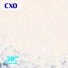 CXOGlb J002411.0-720620