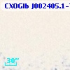 CXOGlb J002405.1-720604
