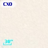 CXOGlb J002411.6-720503
