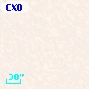 CXOGlb J002410.7-720425