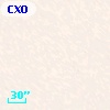 CXOGlb J002410.0-720441