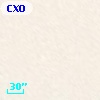 CXOGlb J002407.9-720454