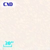 CXOGlb J002407.7-720527