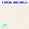 CXOGlb J002405.3-720421