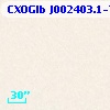 CXOGlb J002403.1-720447