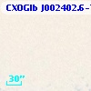 CXOGlb J002402.6-720538