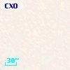 CXOGlb J002410.6-720516