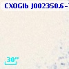 CXOGlb J002350.6-720541