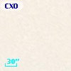 CXOGlb J002405.1-720502