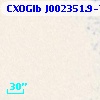 CXOGlb J002351.9-720429