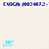 CXOGlb J002407.2-720446
