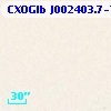 CXOGlb J002403.7-720516