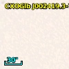 CXOGlb J002419.3-720431