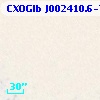 CXOGlb J002410.6-720529