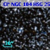 Cl* NGC  104    HSG    2556