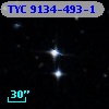 TYC 9134-493-1