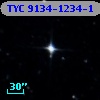 TYC 9134-1234-1