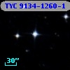 TYC 9134-1260-1
