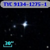 TYC 9134-1275-1