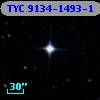 TYC 9134-1493-1