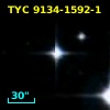 TYC 9134-1592-1