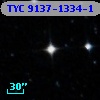 TYC 9137-1334-1