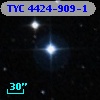 TYC 4424-909-1