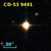 CD-53  9491