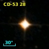 CD-53    28