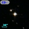 CD-50     8