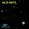 ACO  4075