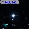 ** MLR   202
