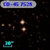 CD-45  7528