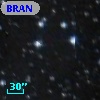 BRAN 381