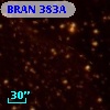 BRAN 383A