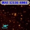 IRAS 12116-6001