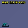 IRAS 12118-6124