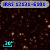 IRAS 12131-6101