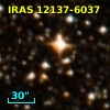 IRAS 12137-6037
