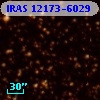 IRAS 12173-6029