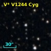 V* V1244 Cyg